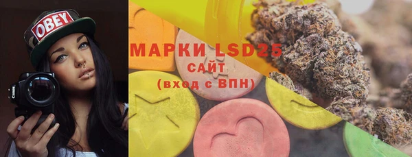винт Магас