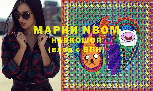 шишки Майский