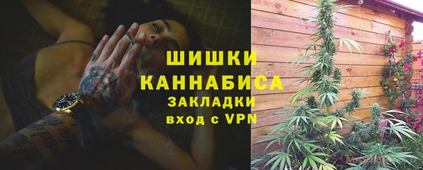 шишки Майский