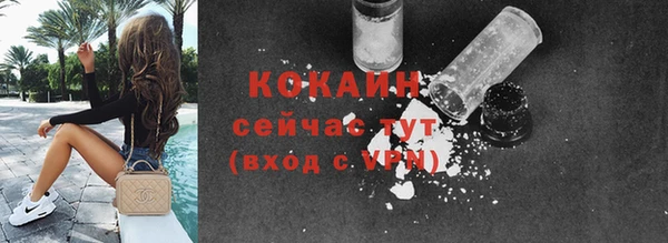 ГАЛЛЮЦИНОГЕННЫЕ ГРИБЫ Богданович