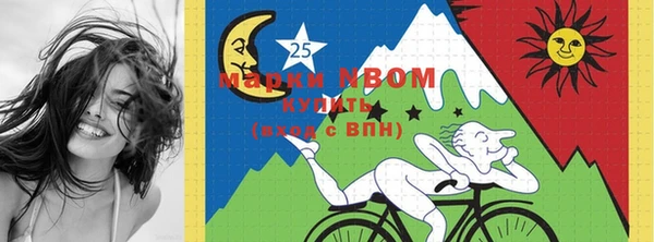 шишки Майский