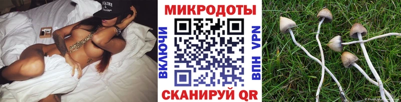 Галлюциногенные грибы мицелий  купить наркоту  Вичуга 
