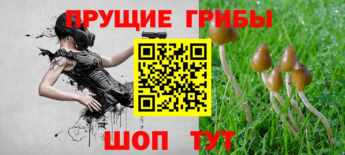 Галлюциногенные грибы MAGIC MUSHROOMS Вичуга