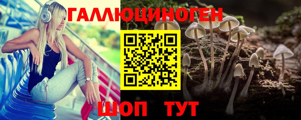 Вичуга  Псилоцибиновые грибы MAGIC MUSHROOMS  Вход с VPN 