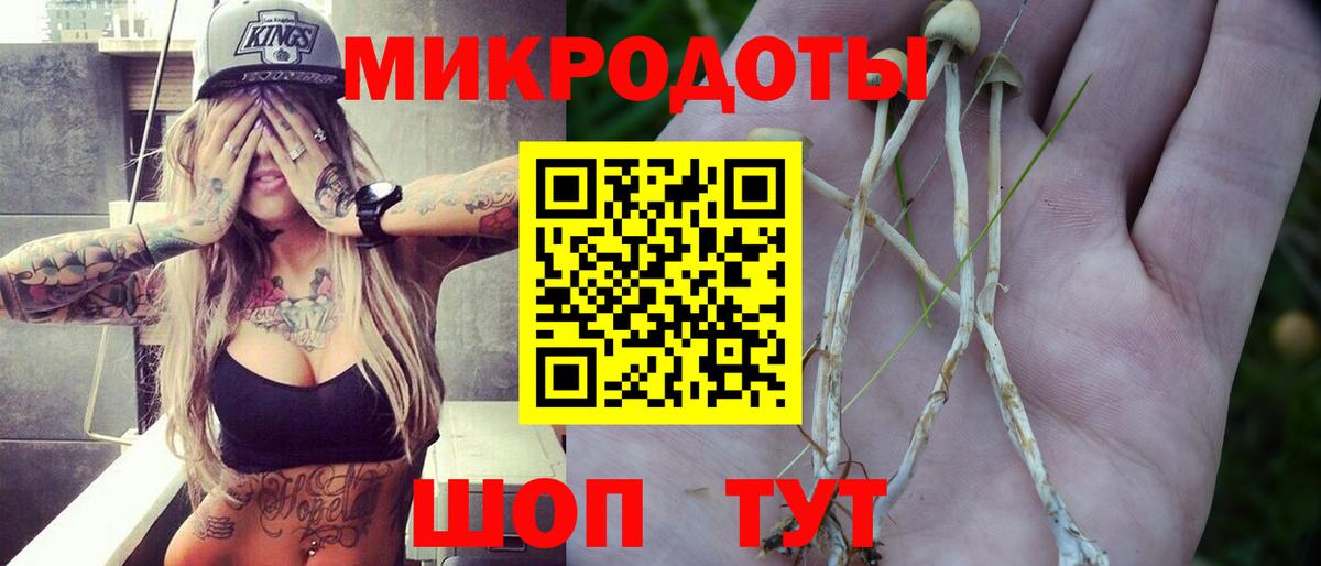 Галлюциногенные грибы Magic Shrooms Вичуга